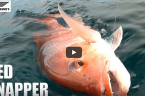 Red Snapper Fishing St George Island Port St Joe  Apalachicola Cape San Blas FL #30atv