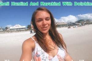 Shell Hunting And Kayaking With Dolphins In Florida