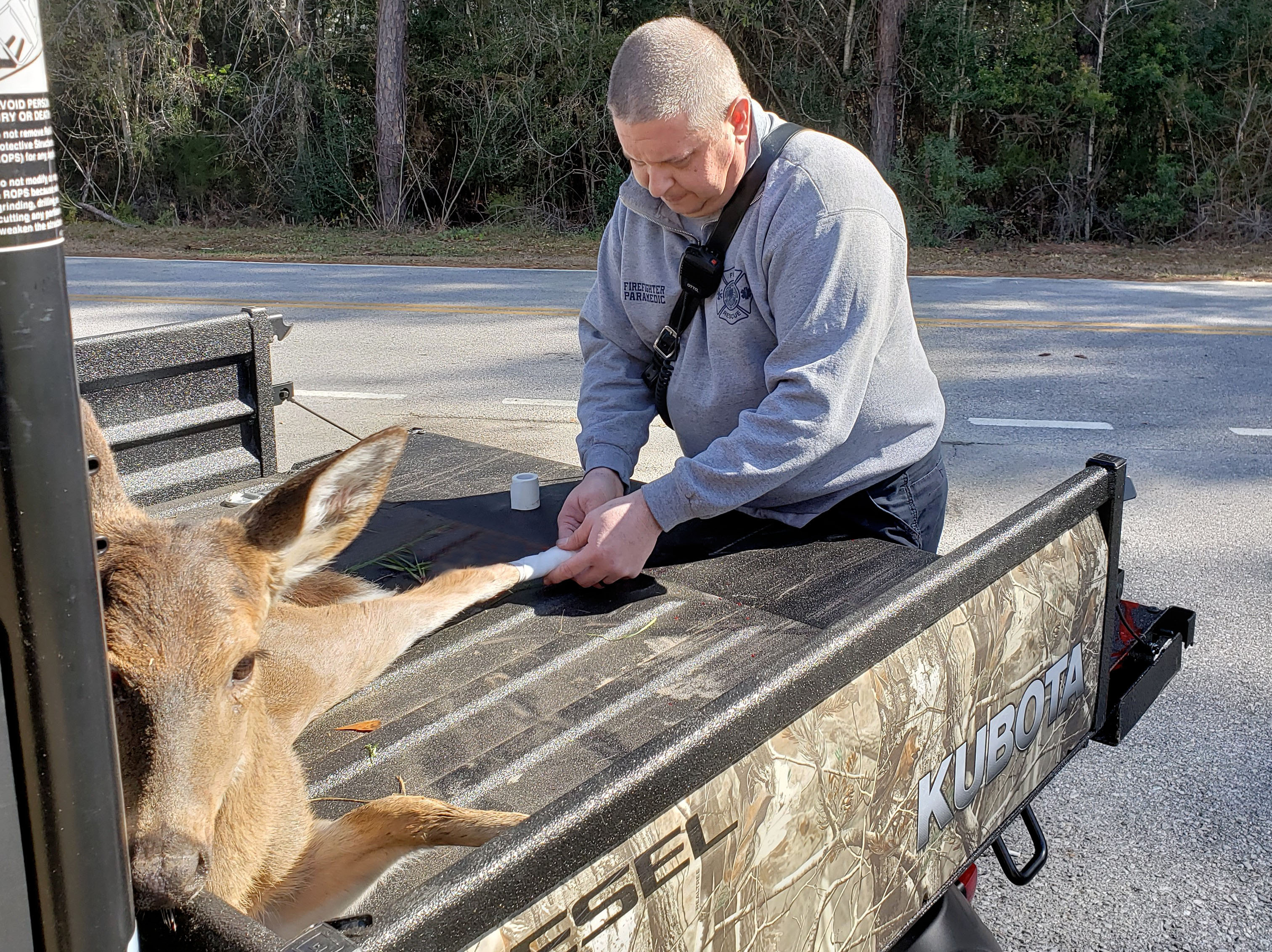 FIREFIGHTERS AND LOCAL BUSINESS OWNER SAVE INJURED DEER