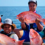 Governor Ron DeSantis, FWC Announce Additional Fall Recreational Snapper Season Dates in Gulf