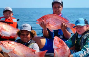 Governor Ron DeSantis, FWC Announce Additional Fall Recreational Snapper Season Dates in Gulf