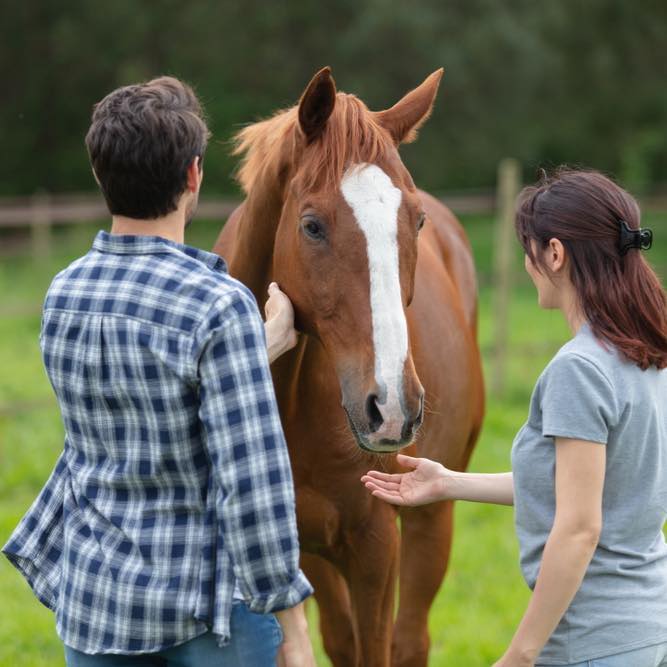 Improving Mental Health Through Engagement with Horses