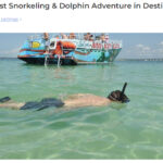SeaQuest Snorkeling & Dolphin Adventure in Destin