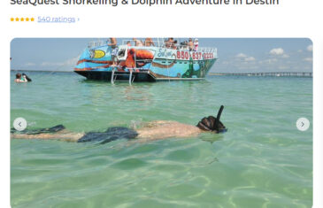 SeaQuest Snorkeling & Dolphin Adventure in Destin