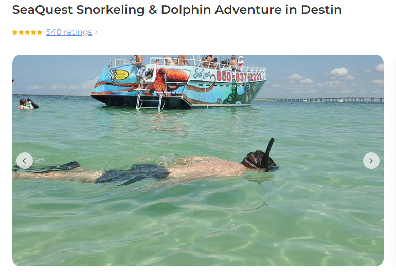 SeaQuest Snorkeling & Dolphin Adventure in Destin