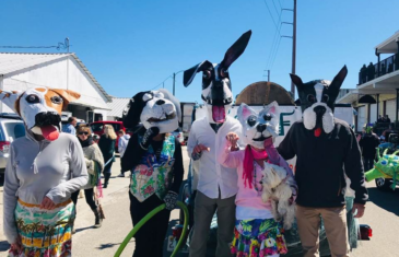 Apalachicola Mardi Gras Barkus Parade & Street Festival.