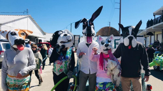 Dog Head Masks png