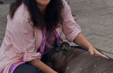 Alaqua Animal Refuge to Host Jin Shin Jyutsu Class for Humans and Animals