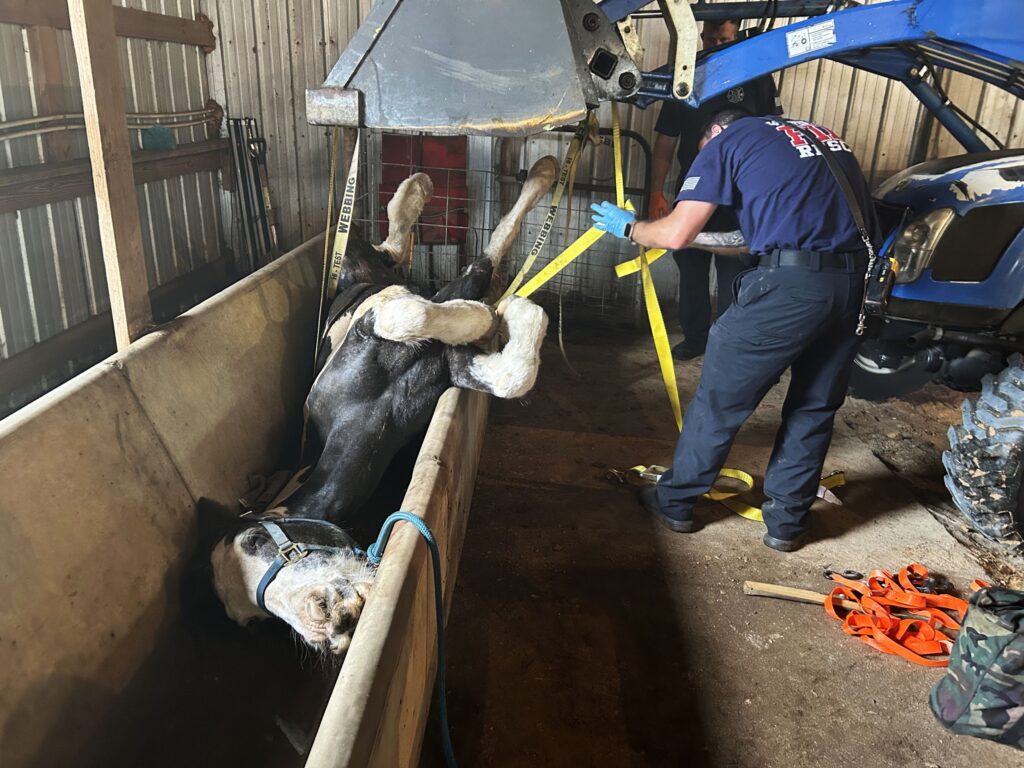 WALTON COUNTY FIRE RESCUE FIREFIGHTERS RESCUE HORSE TRAPPED IN WATER TROUGH