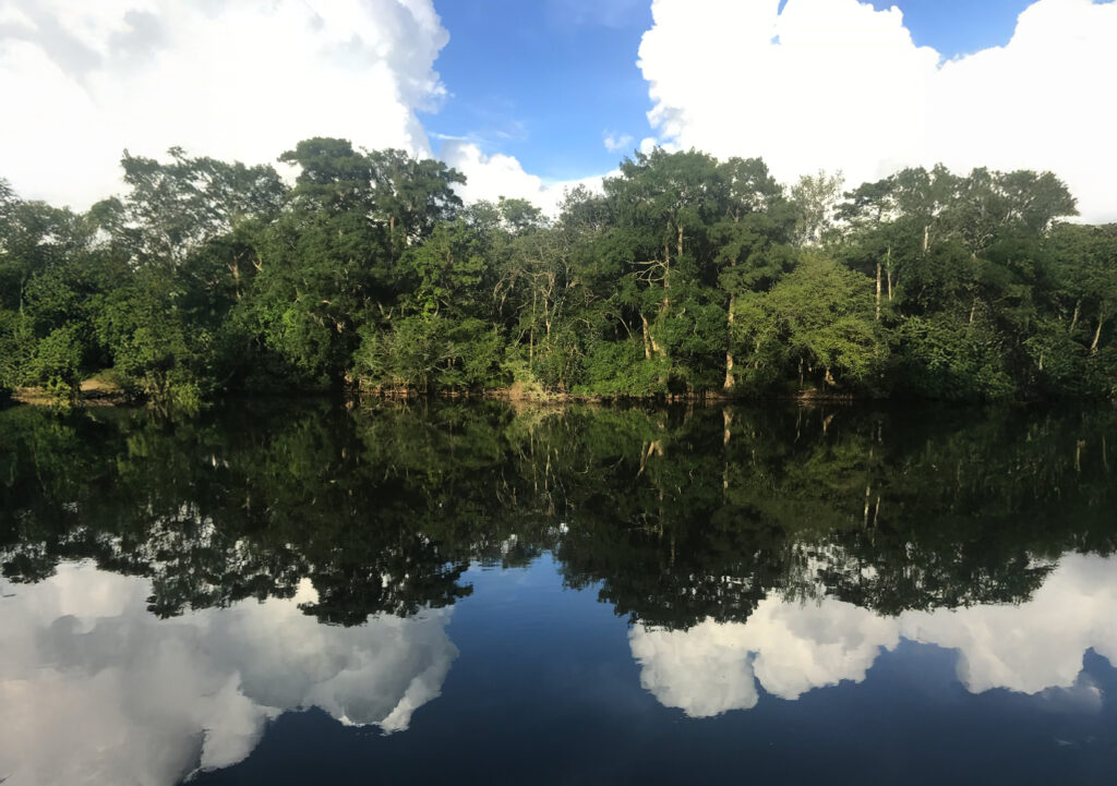 Choctawhatchee Basin Alliance