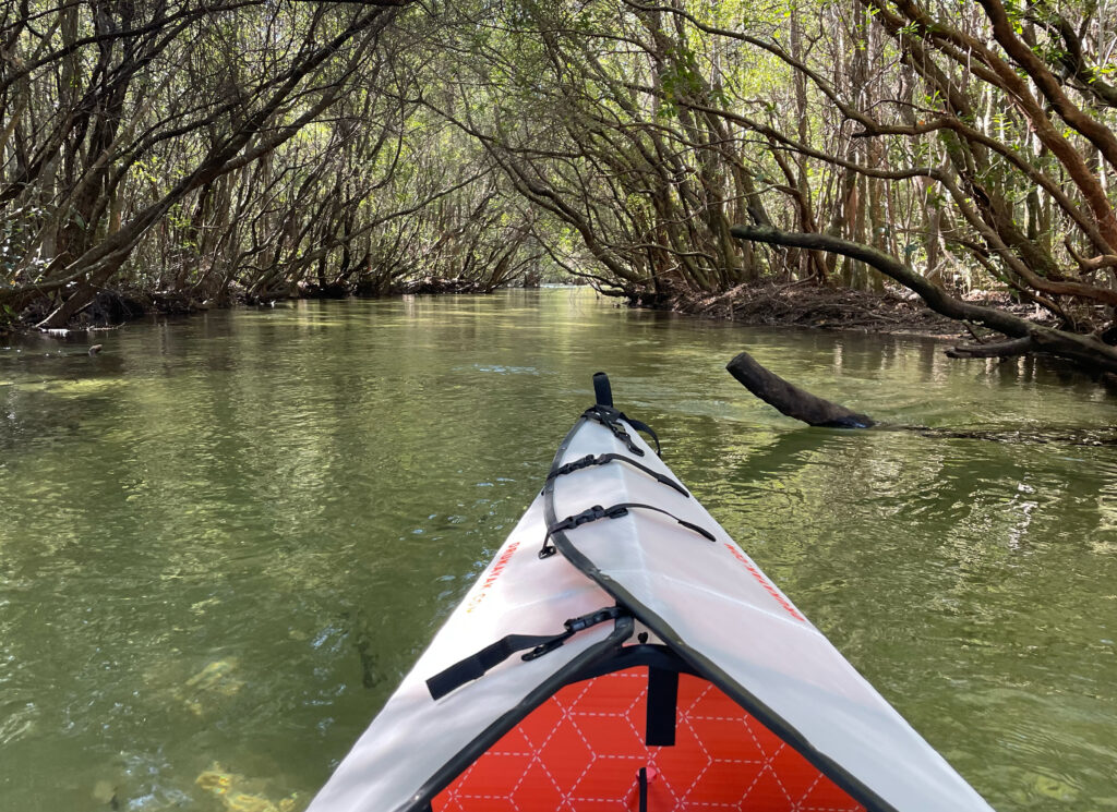 Choctawhatchee Basin Alliance