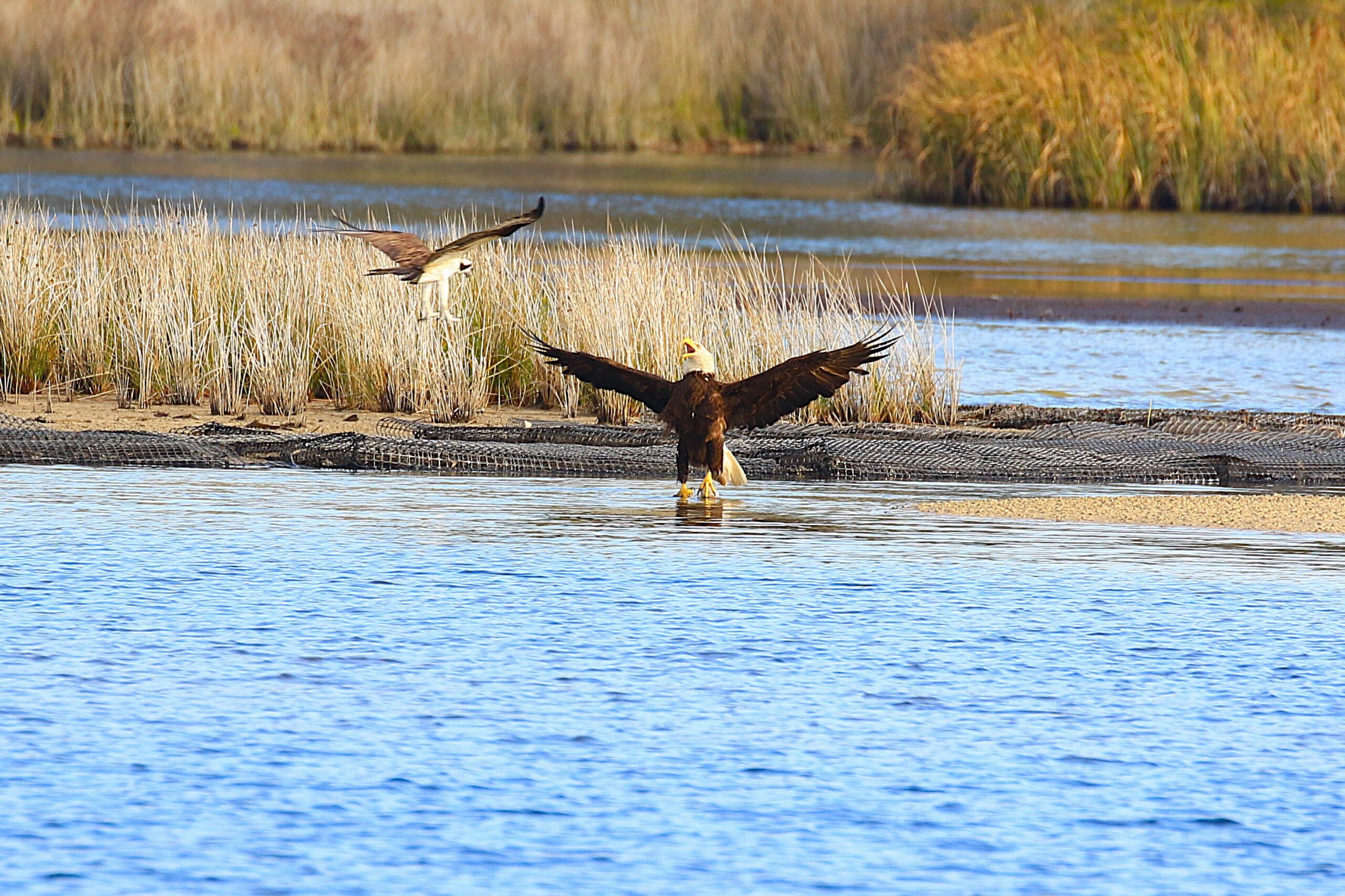 Choctawhatchee Basin Alliance Celebrates 2025 Amateur Photo Contest Winners Choctawhatchee Basin Alliance Celebrates 2025 Amateur Photo Contest Winners
