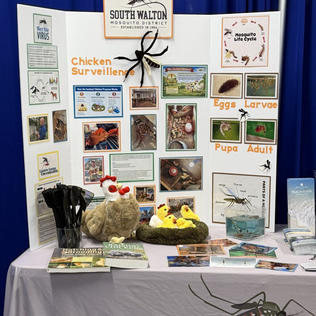 FIGHT THE BITE WEEK: Stop Mosquitoes Before They Start