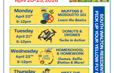 FIGHT THE BITE WEEK: Stop Mosquitoes Before They Start