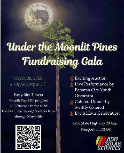 E.O. Wilson Biophilia Center Under the Moonlit Pines Gala