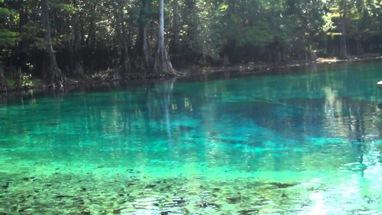 Cool Off At Morrison Springs TV ROKU Fire Apple Destin 30A