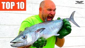 Top Ten Best Fish To Eat by Capt SGT Peterson