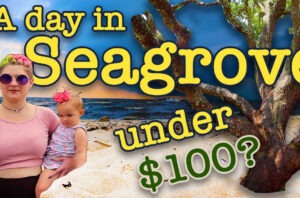 Can 30A Misfits Tour Seagrove for under $100  ?