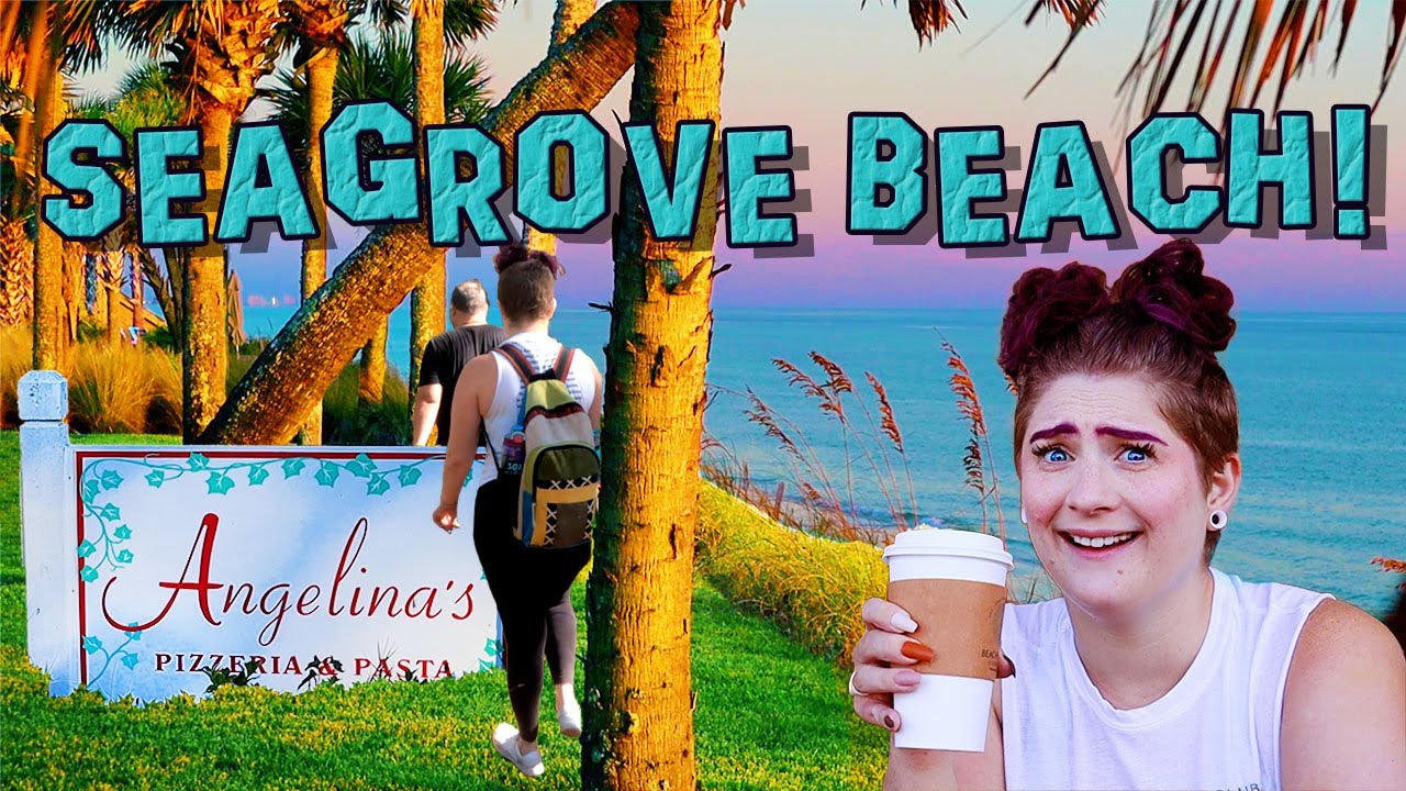 Seagrove Beach on 30A The rent is too high Streaming TV ROKU Fire