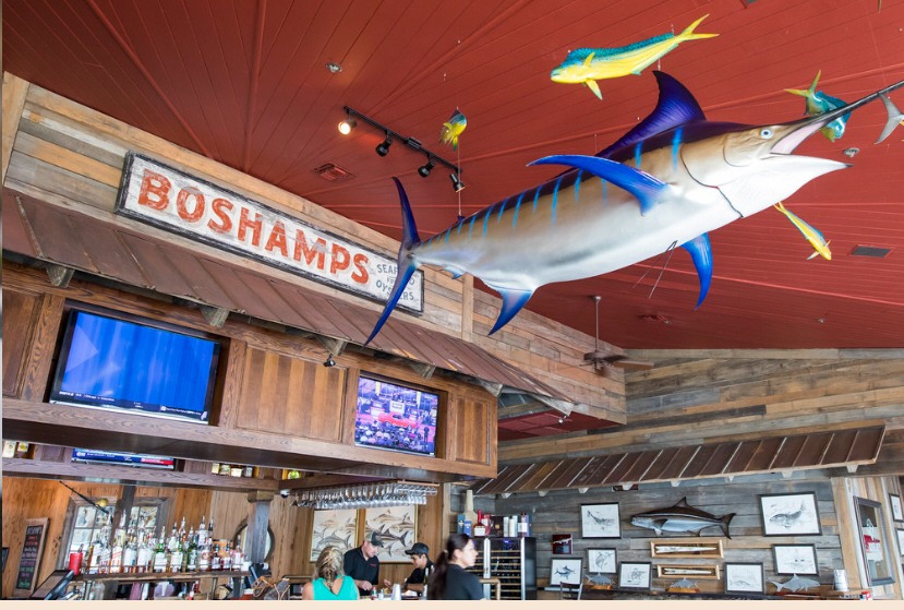 The Boshamps Destin Experience Streaming TV ROKU Fire Apple