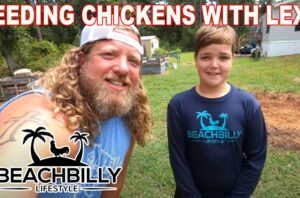 BeachBilly Lifestyle Feeding Chickens With Lex