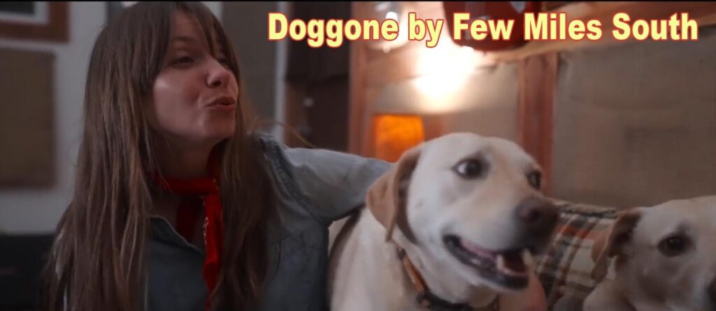 Doggone by Few Miles South Official Music Video