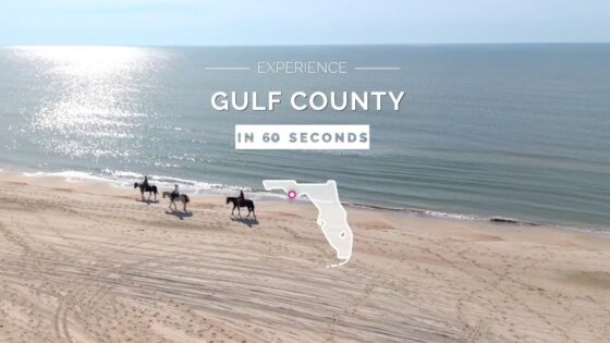 Experience Gulf County Florida in 60 Seconds