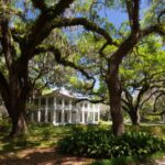 Topsail Hill Preserve State Park Guided Plant Stroll