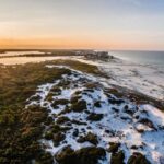 Camp Helen State Park Ranger-Guided Nature Hike