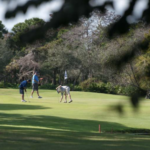 Sacred Heart Foundation Charity Golf Classic