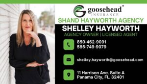 Shelley Hayworth Goosehead Insurance