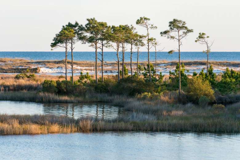 Camp Helen State Park: Guided History Tour