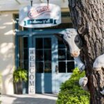 National Biscuit Day at Scratch Biscuit Kitchen