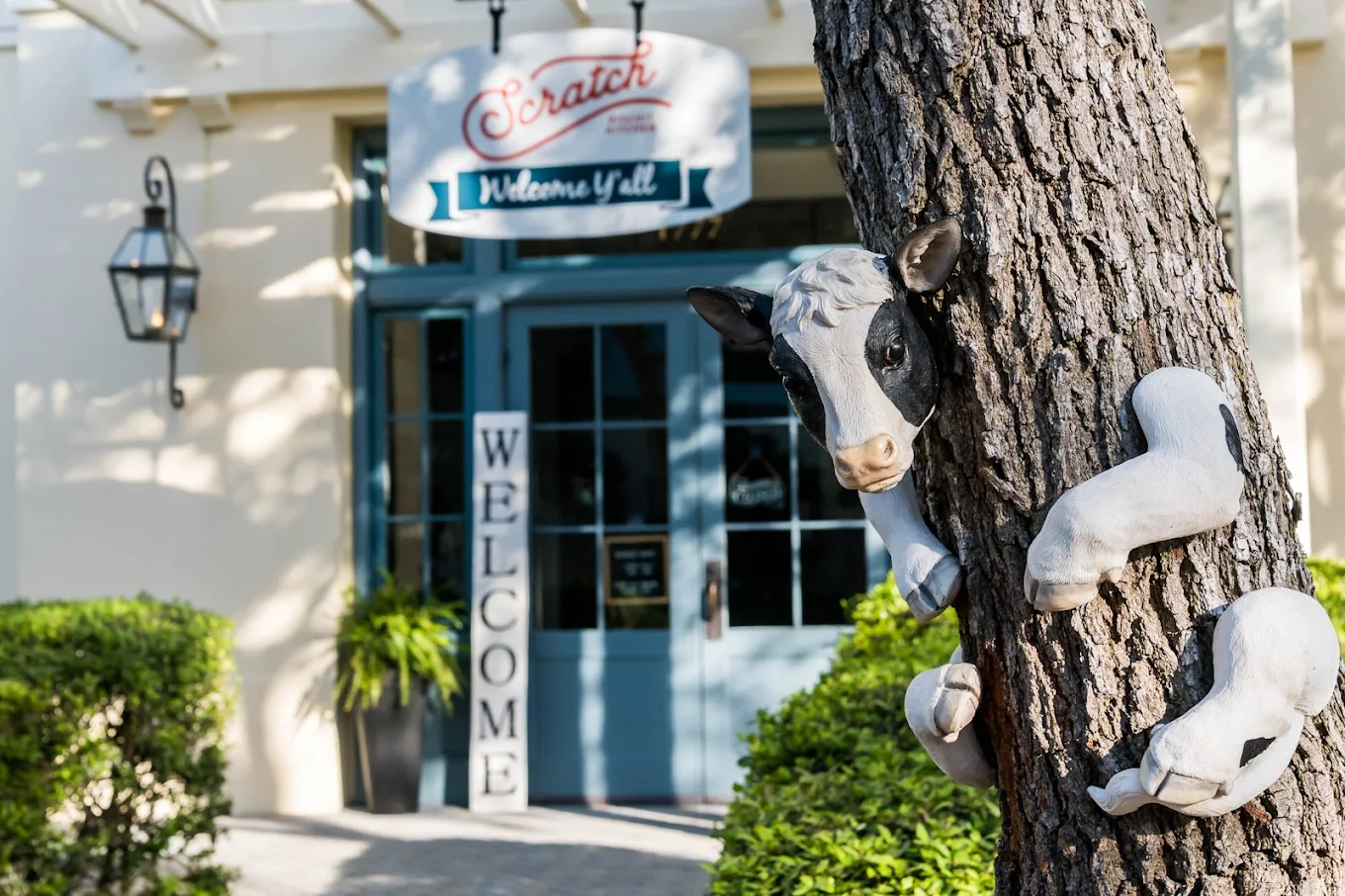 Rylee Austin @ Scratch Biscuit Kitchen