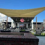 Wild Sea Turtle Wednesday