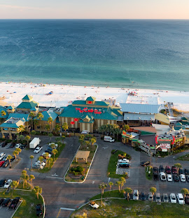 CBA Sea Turtle Tracks & Nesting Facts