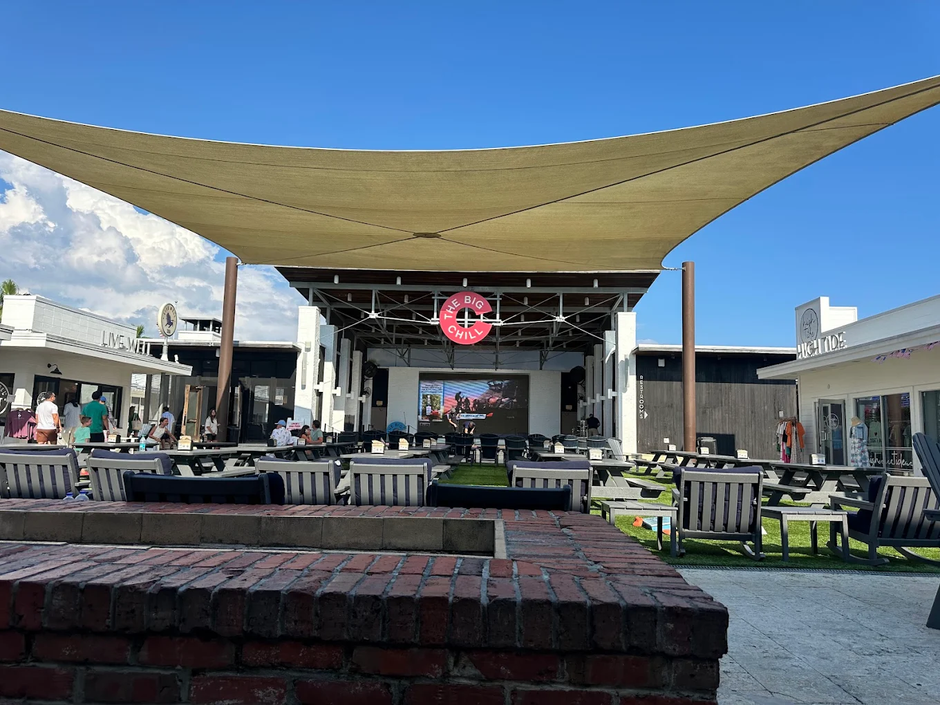 Wild Sea Turtle Wednesday