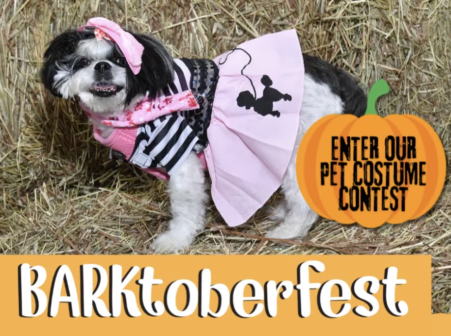 Screen Shot 2025 08 31 at 5.24.54 PM