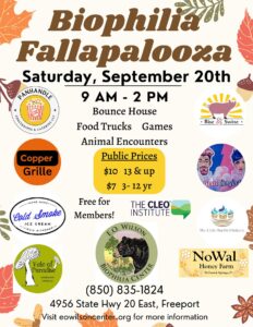 Biophilia Fallapalooza