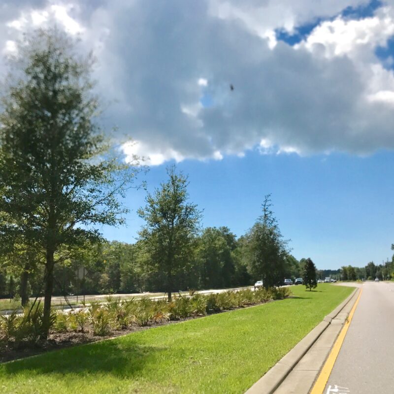 331 South Gateway Landscape Project